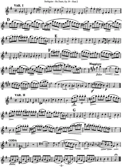 博比格长笛二重奏练习曲op59flute2