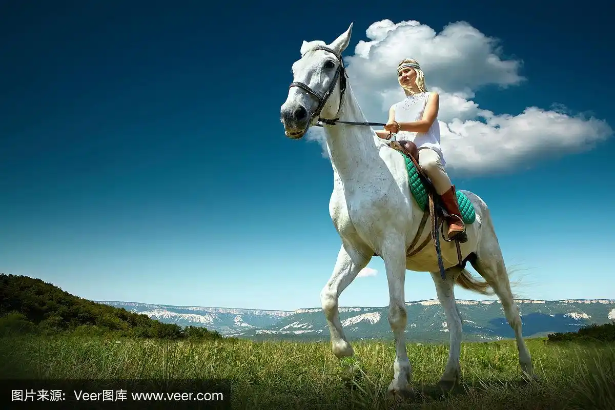 年轻的女骑手骑着白马,户外景色