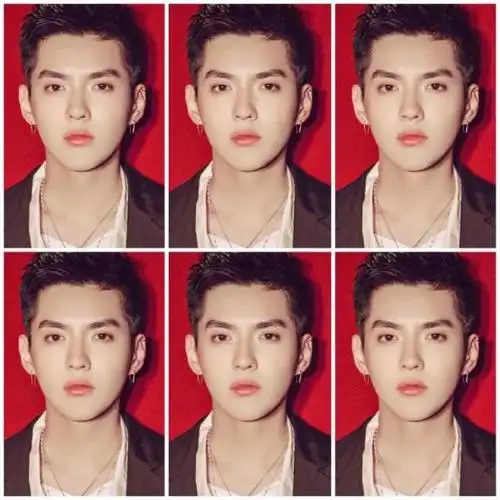 吴亦凡饭制证件照合集 天神三百六十度无死角脸在线狙击