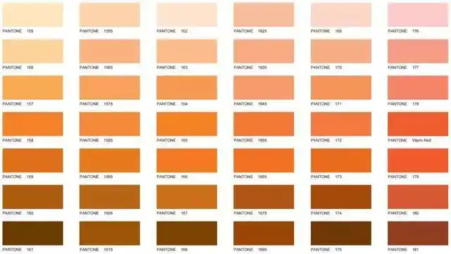 家居装修中 橘色搭配方法