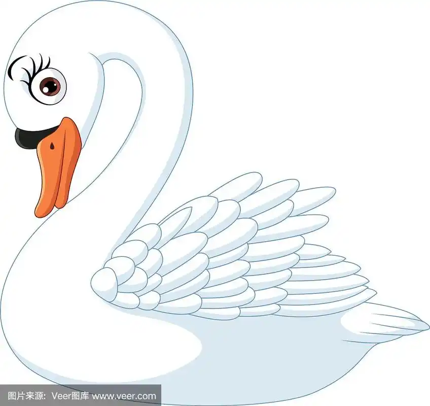 卡通可爱的天鹅孤立在白色的背景