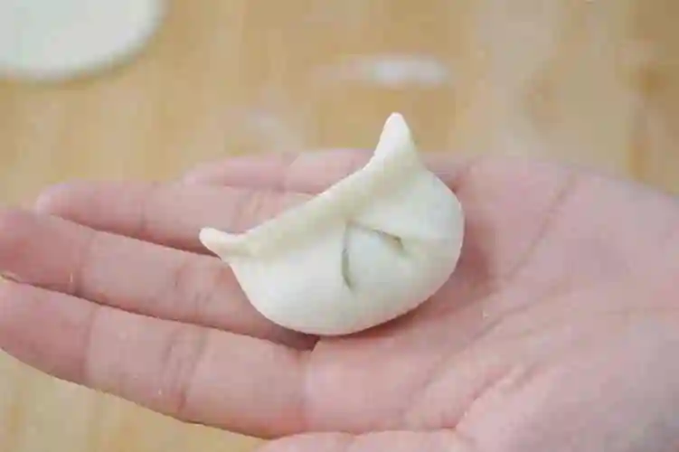 包饺子的手法视频教程三角形(初学者简单慢动作可以快速包出元宝正