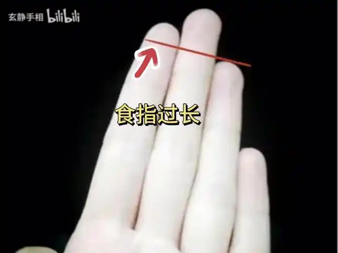 识人有术,食指过长,长过无名指