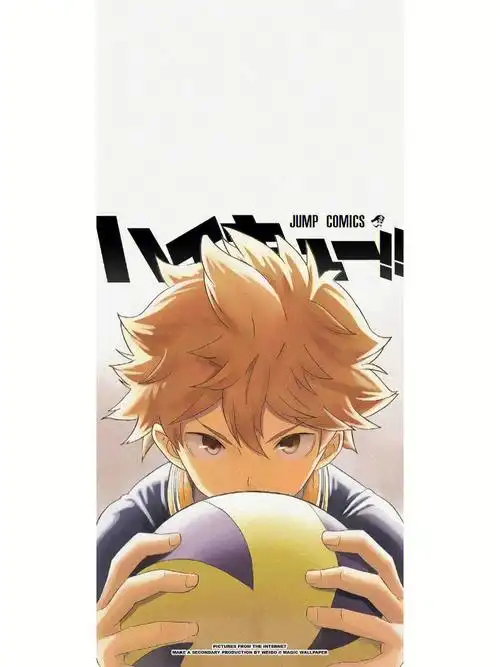 日向翔阳0621生日快乐989898