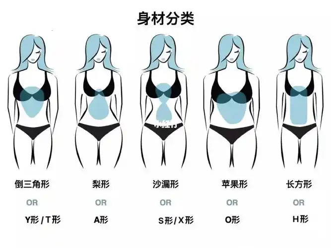 女性身材分类/身型判断/体型分类/建议收藏