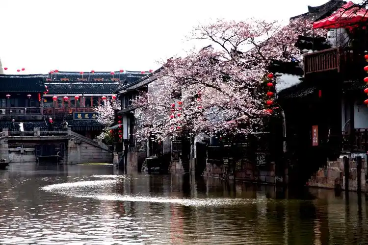 其它 江南古镇…西塘 写美篇江南好,风景旧曾谙, 日出江花红似火, 春