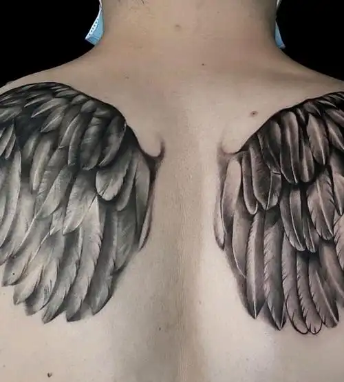 写实翅膀_纹身图案手稿图片_张伟的纹身作品集