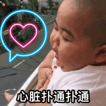 355_355gif 动态图 动图