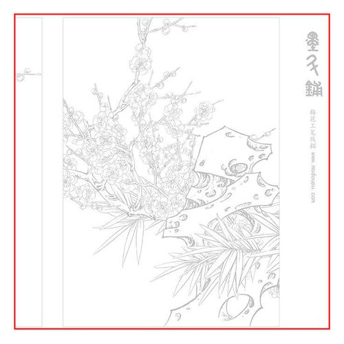 梅花工笔线描 白描绘画 描红临摹半生熟宣纸长卷