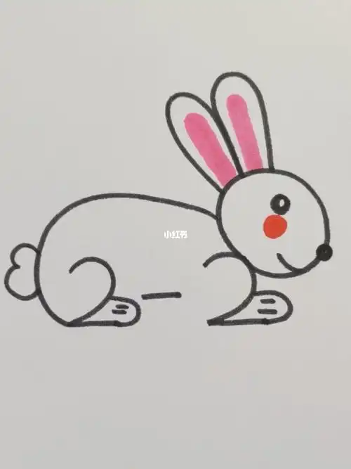 220画兔子简单易学
