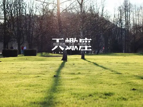 天蝎座壁纸图片