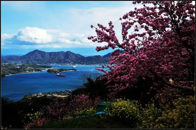 【在那桃花盛开的地方】-自然风景论坛-zol中关村在线