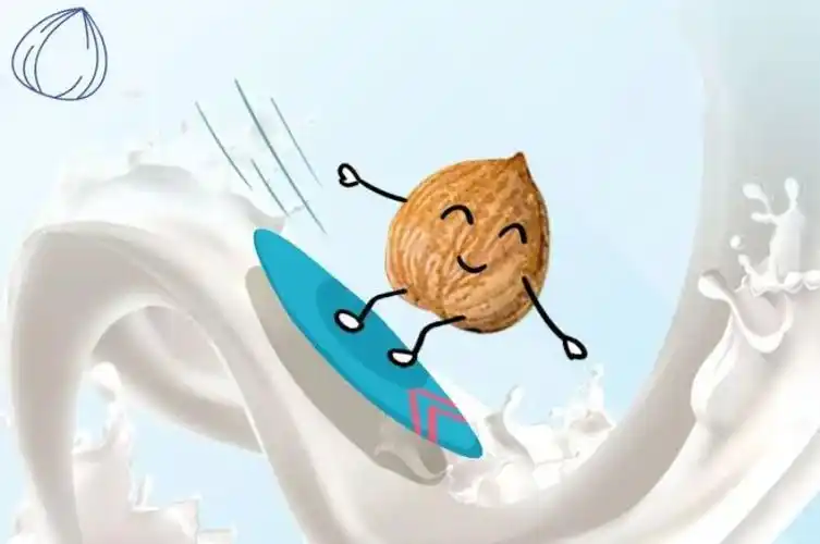 承德露露带你走过一颗杏仁的寻味之旅