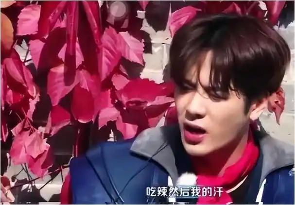 王嘉尔只是简单地尝了一口辣椒酱,额头上的汗珠犹如大豆般直落.