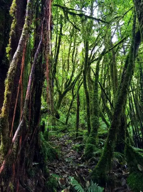 西游漫记(中国最顶级的无人区徒步越野死亡之路)