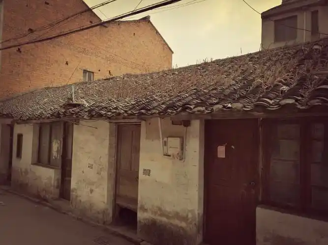 八十年代的平房,屋顶上已长满杂草