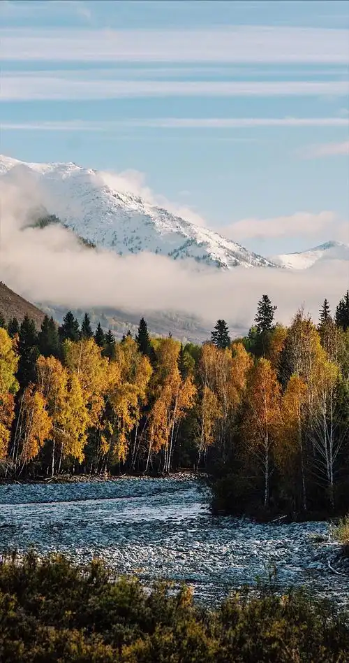 你能否把我理解我像生活一样深沉而辽远风儿栖身于我的愿望烙铁在我的