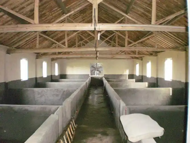 养猪专业户:如何正确建设猪舍的规划与布局,你们get到了吗?