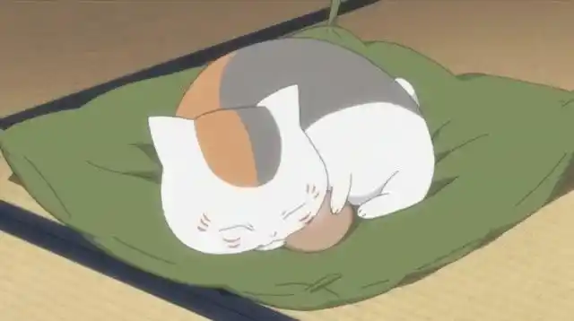 夏目友人帐:肥猫每天抱着鸟蛋睡觉,样子呆萌