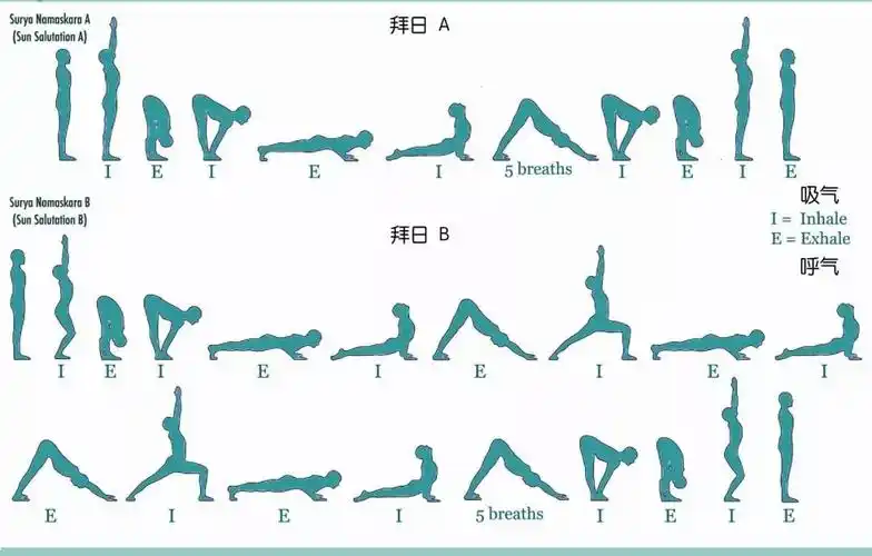 超详细的瑜伽拜日ab瑜伽练习者经典收藏