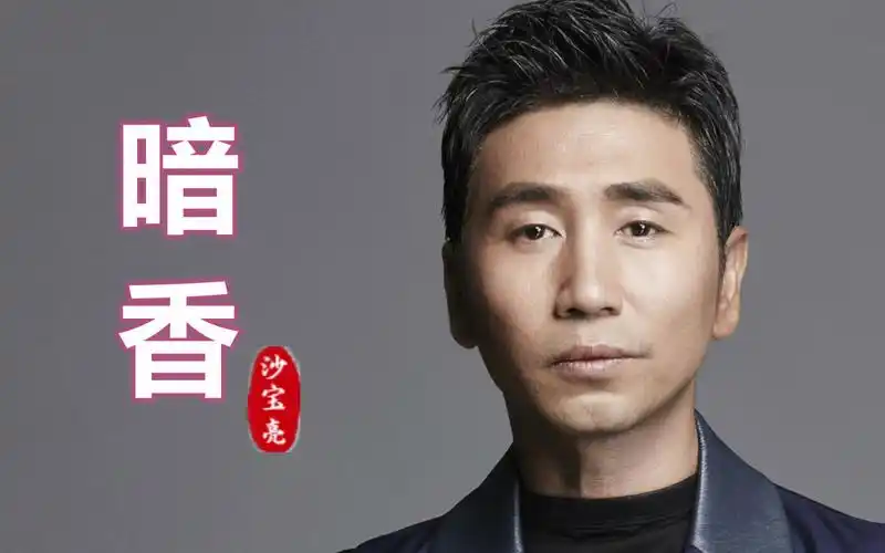 沙宝亮《金粉世家》主题曲《暗香》,撕心裂肺的歌声,好听感人