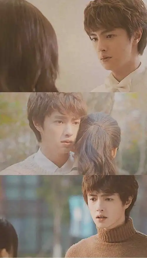 关于流星花园相关信息