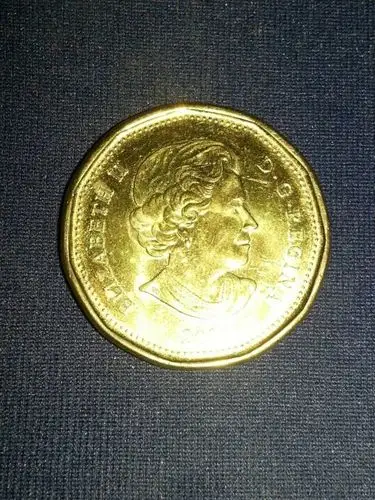 求助,这是加拿大的什么硬币?