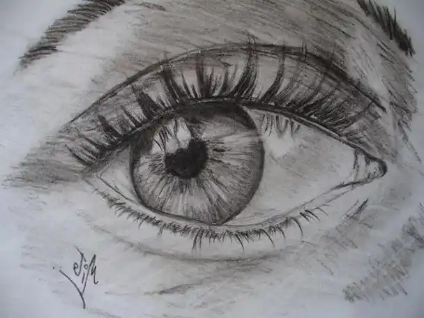素描画眼睛新手入门(素描眼睛怎么画)(21)