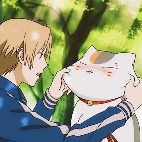 夏目友人帐夏目贵志猫咪老师