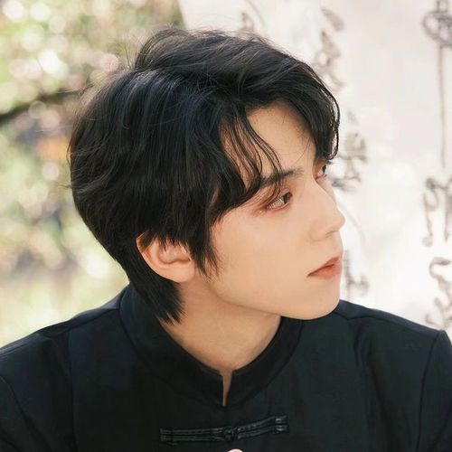 假头套男短发小香风中分整顶全头套复古文艺感青年发型百搭网红款