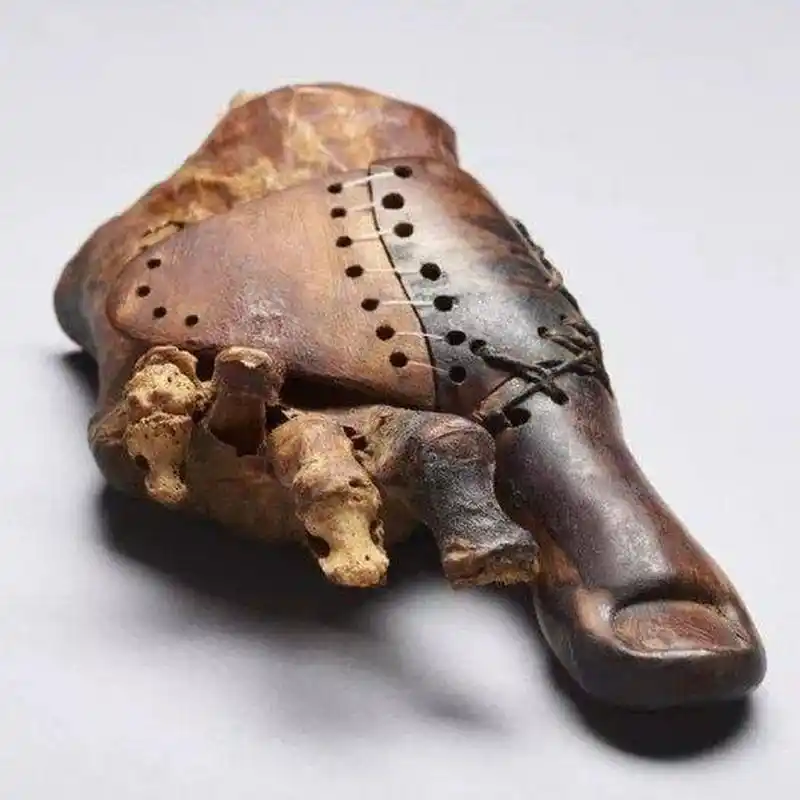 研究人员认为这是世界上最古老的假肢设备之一.