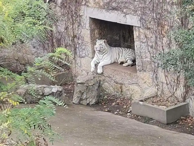 徐州动物园一游