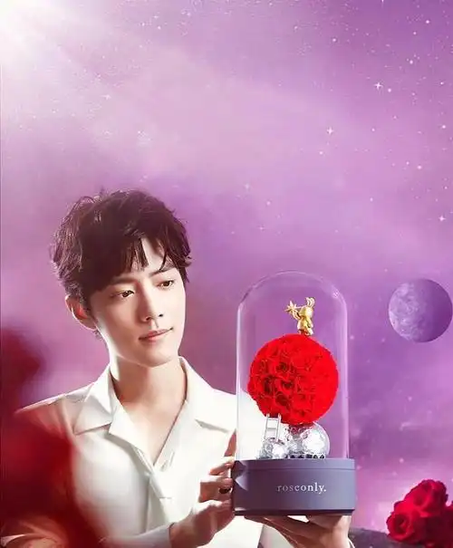 品牌方发布肖战新图是玫瑰小王子系列坐姿超帅