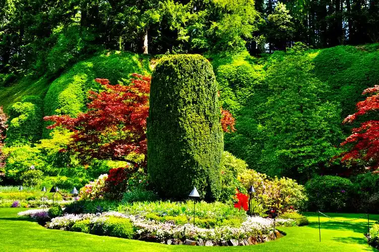 世界上最美的花园加拿大布查特花园世界上有很多美好的事情最初往往是