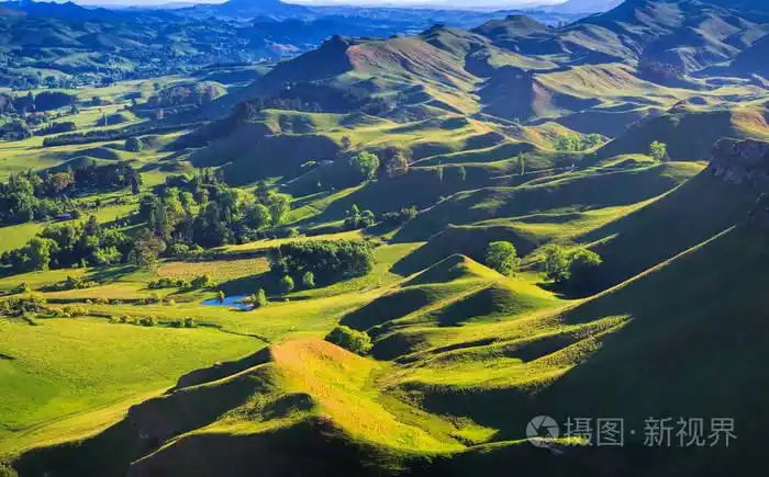 绿色的山丘风景,位置-新西兰
