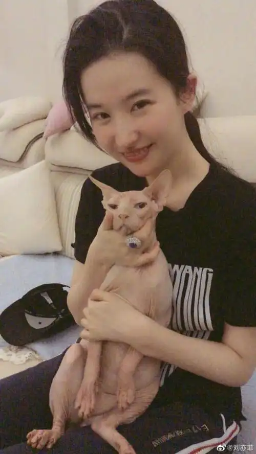 32岁刘亦菲生活居家照曝光,网友直呼太清纯,古装的刘亦菲更美