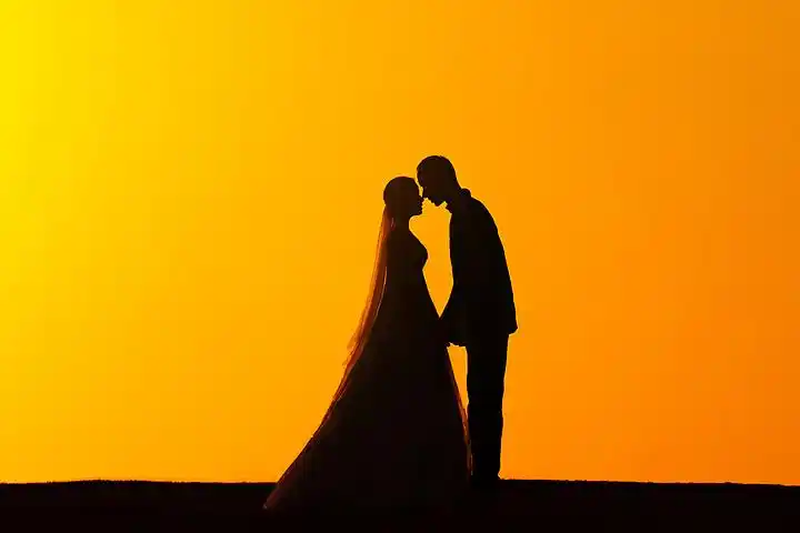 情 i>人 /i>节520情侣 i>婚 /i> i>纱 /i>面对面亲吻剪 i>影 /i>夕阳