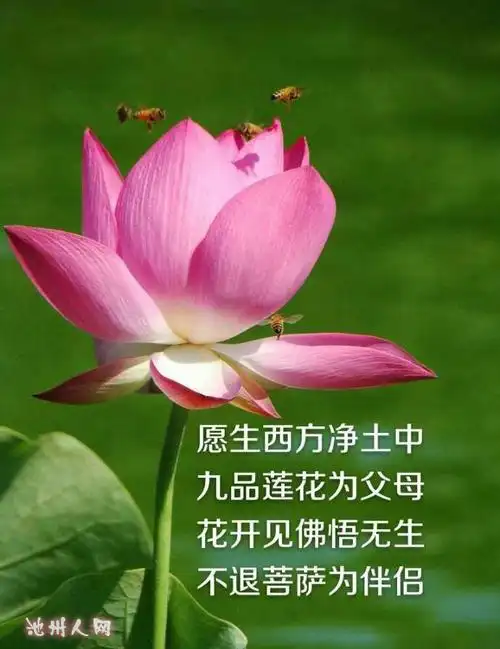 十恶不赦是哪十恶