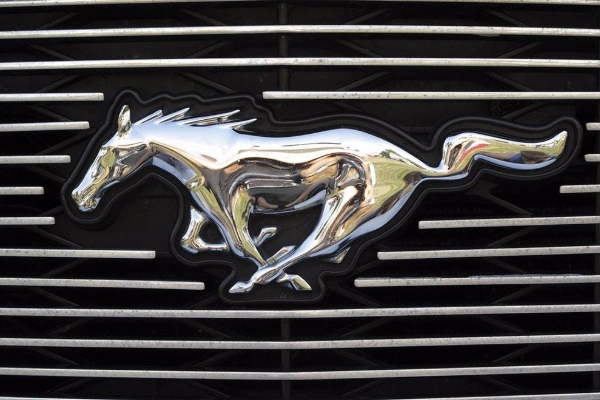 汽车标志有个马的是什么车1,法拉利法拉利所使用的传奇标志有着非同