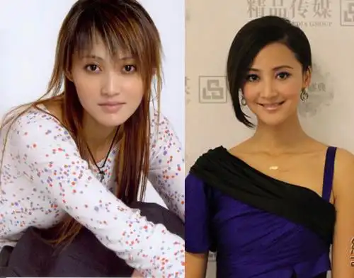 女星整容前旧照曝光:张俪略惊悚金巧巧似芙蓉(组图)
