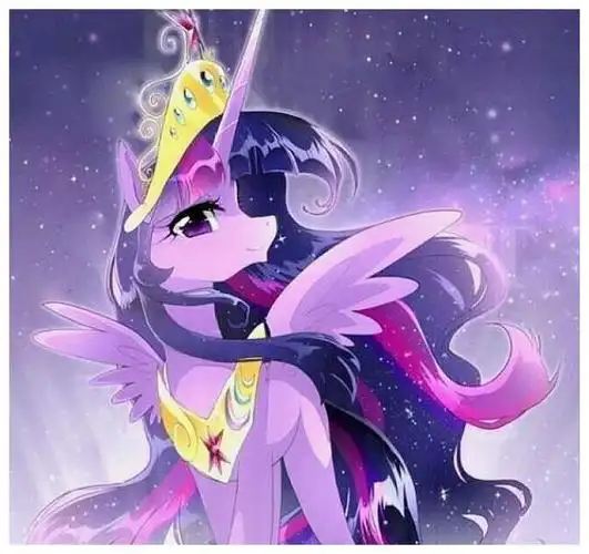 十二星座小马宝莉水瓶座的像个公主双鱼座的富有神秘感