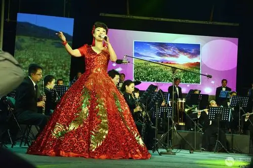 【在希望的田野上】女声独唱演出纪实