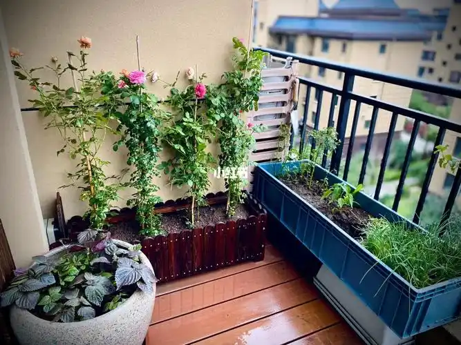 阳台小花园