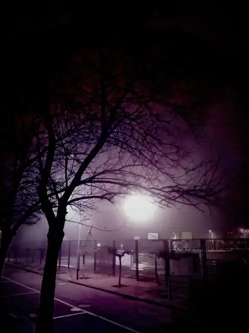 疫情孤独的夜晚也挡不住拍照的热情远处路灯的光晕就像是挂在树梢的