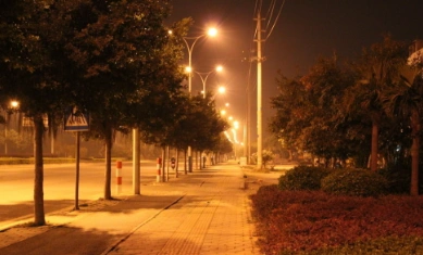 夜晚路灯下的心情句子