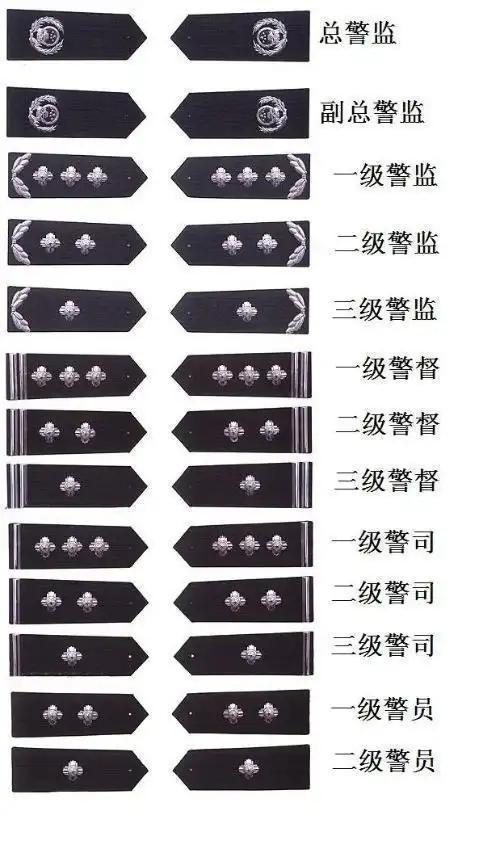 中国佩此警衔的只有两位,分别是公安部部长和国家安全部部长;(2)公安