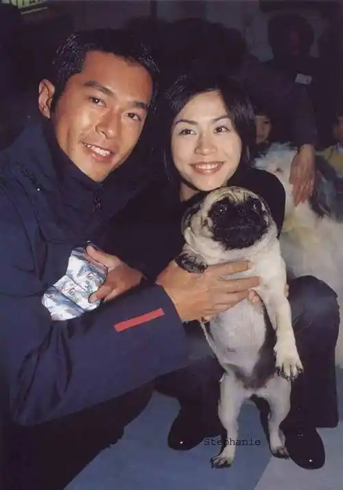 没恋爱就离婚?隐婚十年不敢说…_古天乐_宣萱_寻秦记