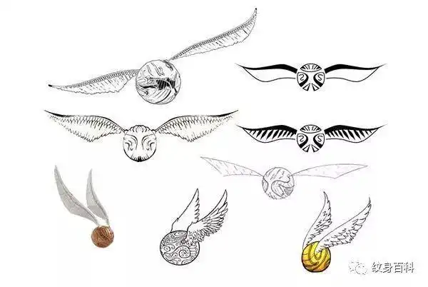 哈利波特中的金色飞贼做纹身很漂亮