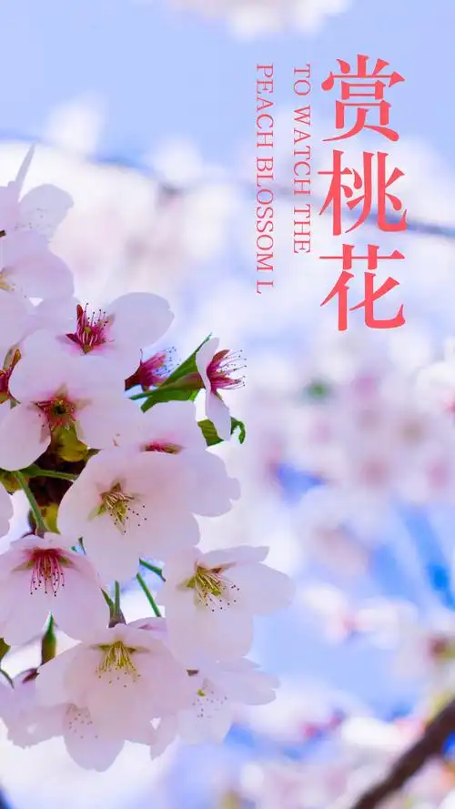 桃花春色暖先开,另类-手机壁纸
