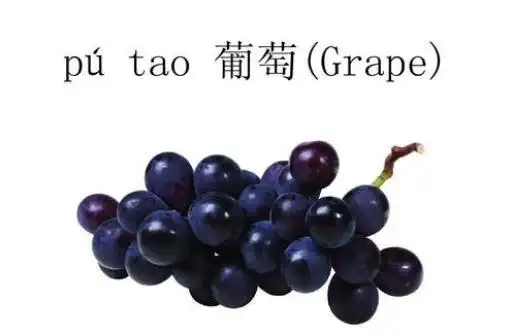 葡萄的英语单词grape怎么读